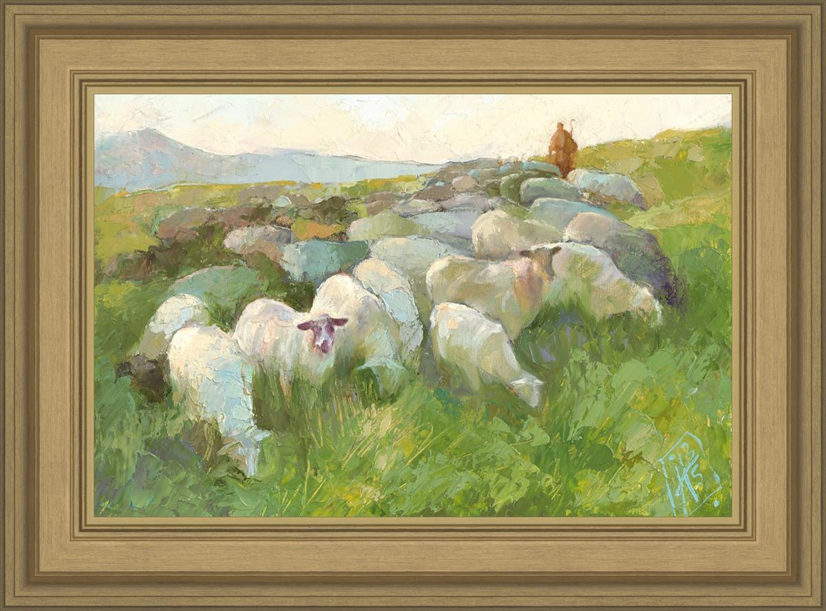 In The Care of The Shepherd