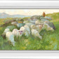In The Care of The Shepherd