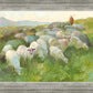 In The Care of The Shepherd