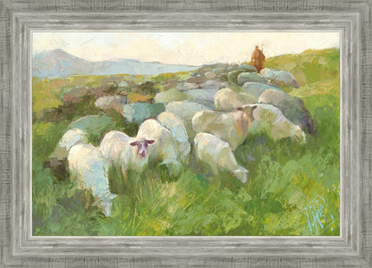 In The Care of The Shepherd