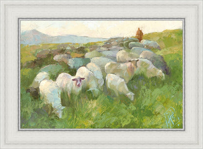 In The Care of The Shepherd