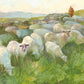 In The Care of The Shepherd