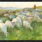 In The Care of The Shepherd