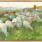 In The Care of The Shepherd