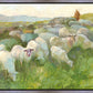 In The Care of The Shepherd