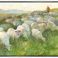 In The Care of The Shepherd