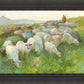 In The Care of The Shepherd