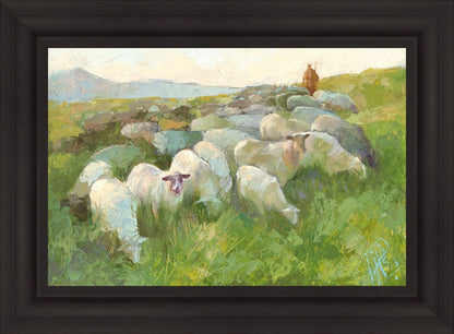 In The Care of The Shepherd