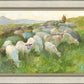 In The Care of The Shepherd