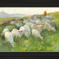 In The Care of The Shepherd