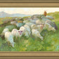 In The Care of The Shepherd