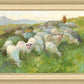 In The Care of The Shepherd