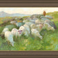 In The Care of The Shepherd