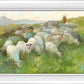 In The Care of The Shepherd