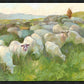 In The Care of The Shepherd