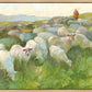 In The Care of The Shepherd