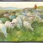 In The Care of The Shepherd