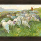 In The Care of The Shepherd