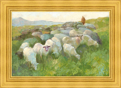 In The Care of The Shepherd