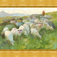In The Care of The Shepherd
