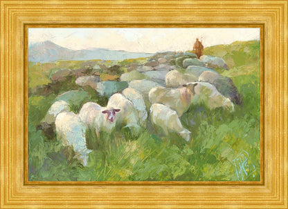 In The Care of The Shepherd