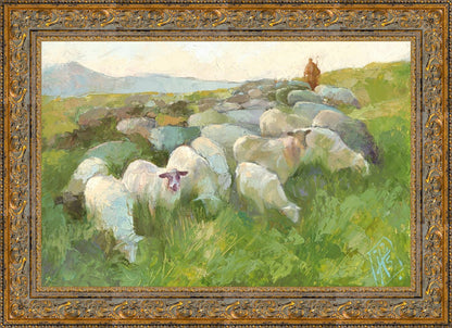 In The Care of The Shepherd