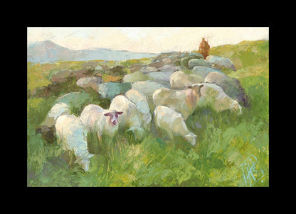 In The Care of The Shepherd