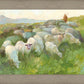 In The Care of The Shepherd