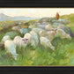 In The Care of The Shepherd