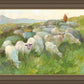 In The Care of The Shepherd