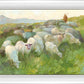 In The Care of The Shepherd