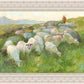 In The Care of The Shepherd