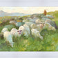 In The Care of The Shepherd