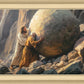 Redemption's Ascent