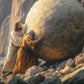 Redemption's Ascent