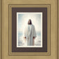 Only Begotten