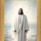 Only Begotten