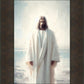 Only Begotten