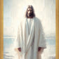 Only Begotten