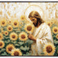 Following The Son