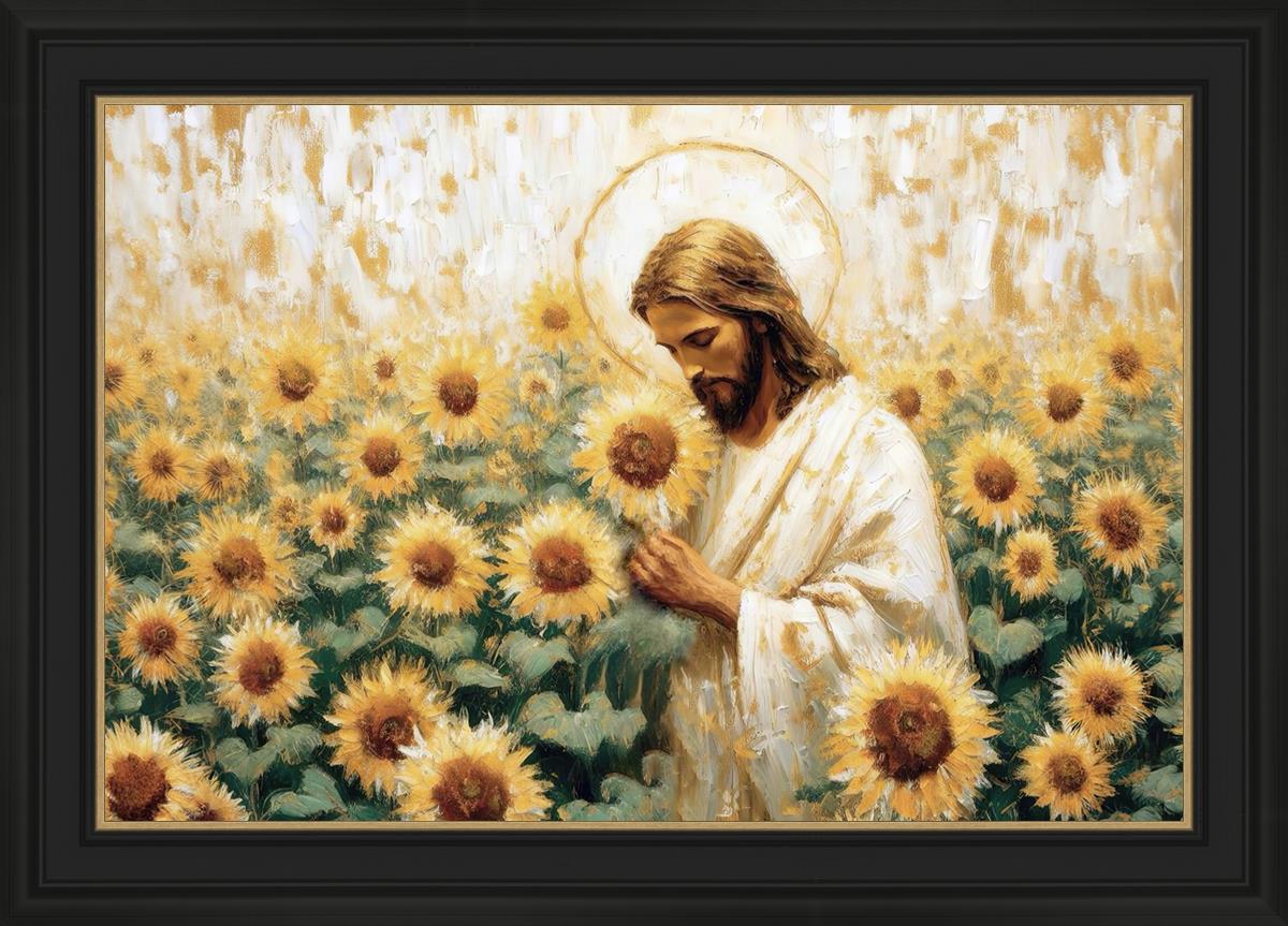Following The Son