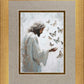 Delicate Wings