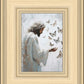 Delicate Wings
