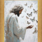 Delicate Wings