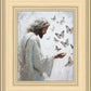 Delicate Wings