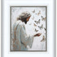 Delicate Wings