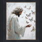 Delicate Wings