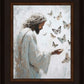 Delicate Wings