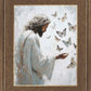 Delicate Wings