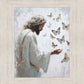 Delicate Wings